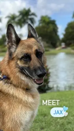 Jax