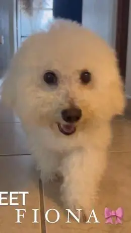 Fiona